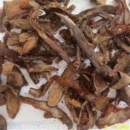 骨碎补精品中药材批发零售 产地云南，规格齐全