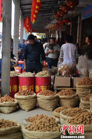 正月初八樟树中药材专业市场开市，中药材销售迎开门红