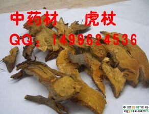 中药材产业的多元脉络 从产区到市场的价值跃迁