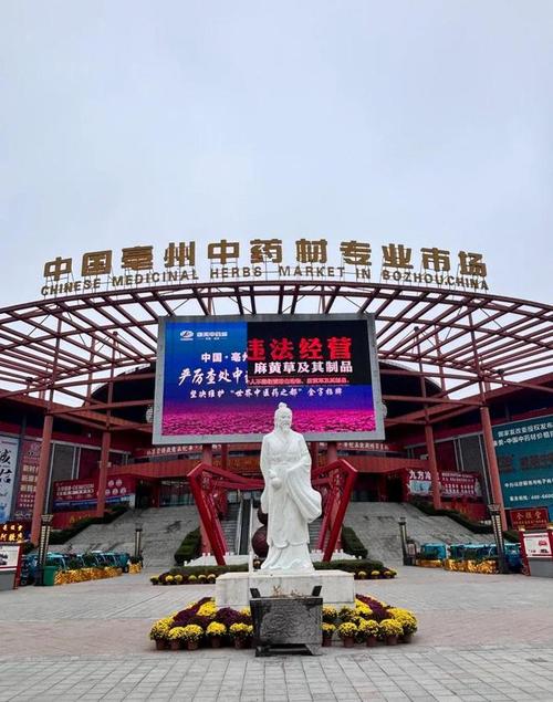 从央视曝光的马钱子乱象看天麻、当归等中药材的销售困局与破局之道